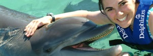 Dolphin (2)